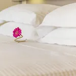 فندق Palms And Spas Retreat