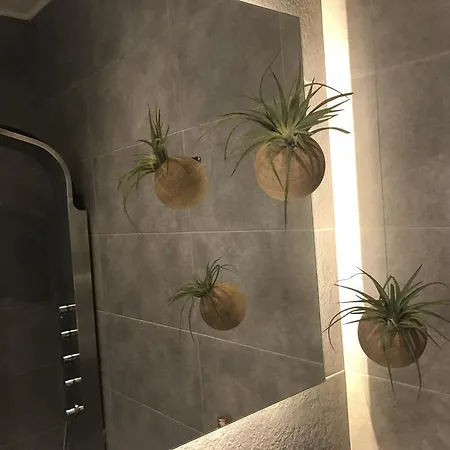 Palms And Spas Retreat