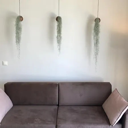 Hotel Palms And Spas Retreat 3*