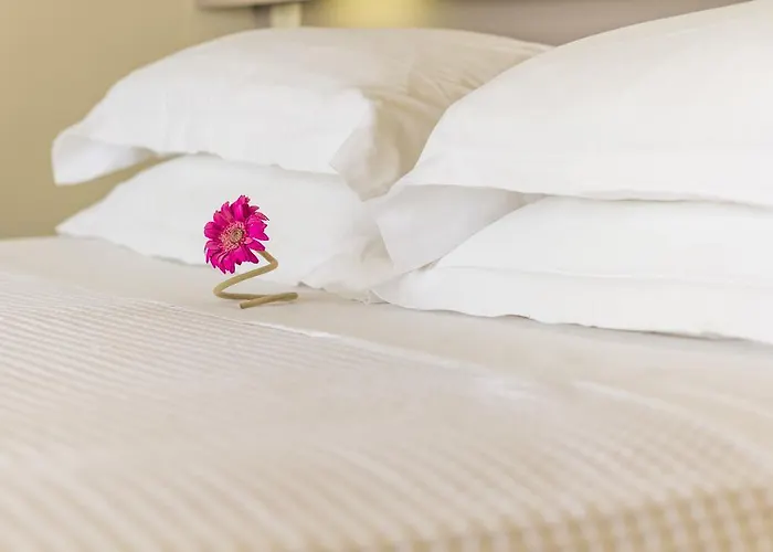 Hotel Palms And Spas Retreat