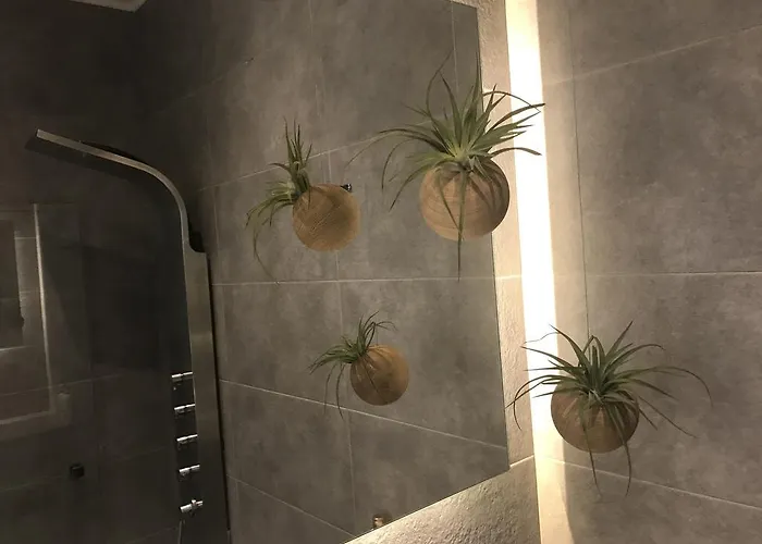 Palms And Spas Retreat
