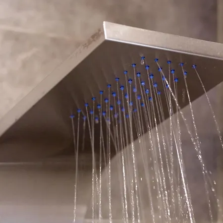 Palms And Spas Retreat 酒店 梅松吉