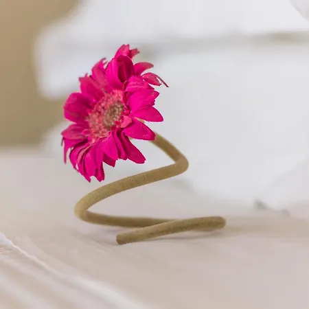 Palms And Spas Retreat 3* 梅松吉