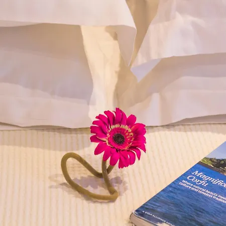 Palms And Spas Retreat 酒店 梅松吉